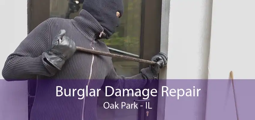Burglar Damage Repair Oak Park - IL
