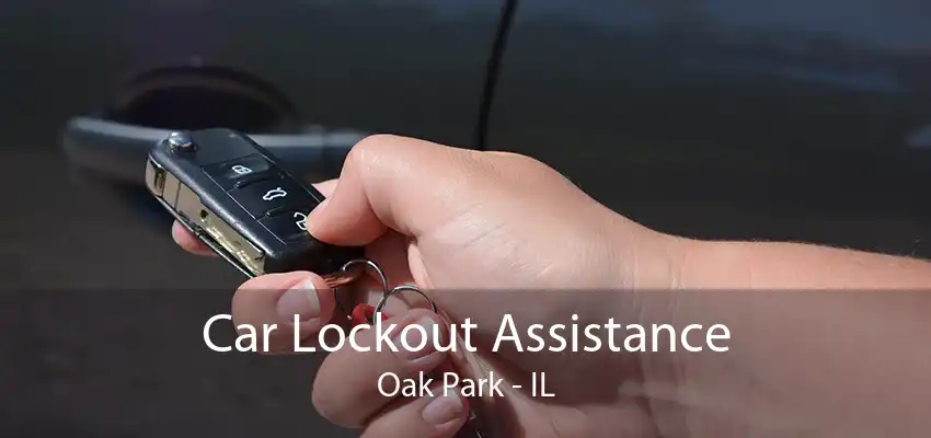 Car Lockout Assistance Oak Park - IL