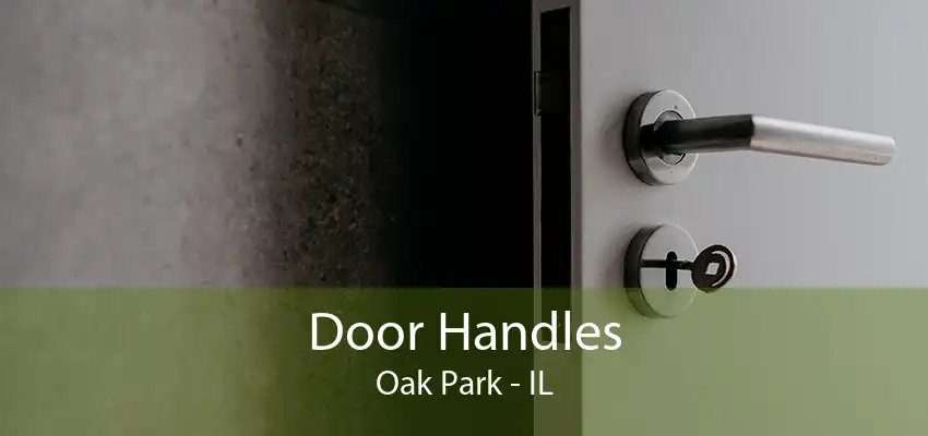 Door Handles Oak Park - IL