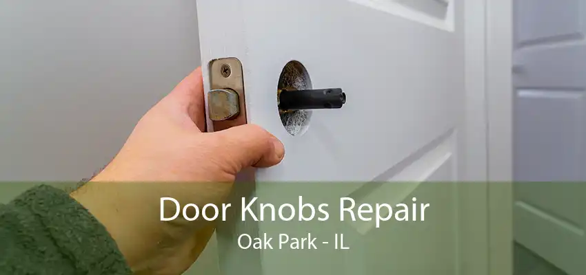 Door Knobs Repair Oak Park - IL