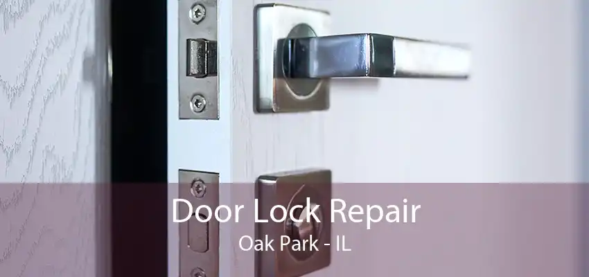 Door Lock Repair Oak Park - IL
