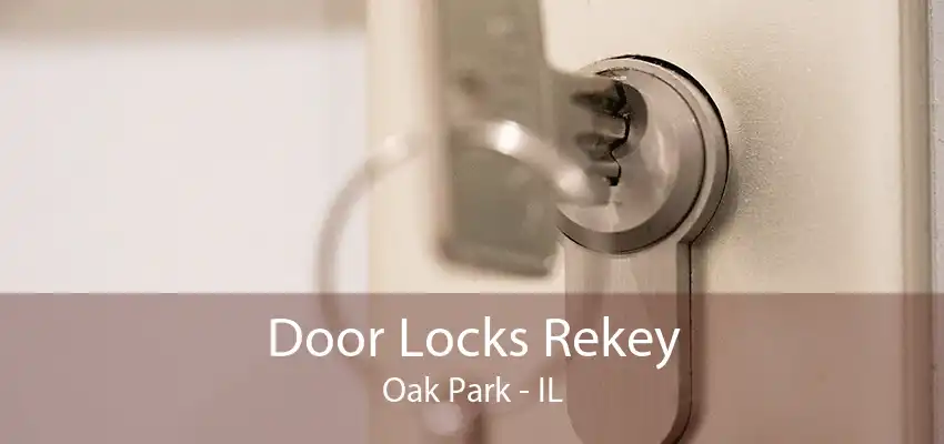 Door Locks Rekey Oak Park - IL