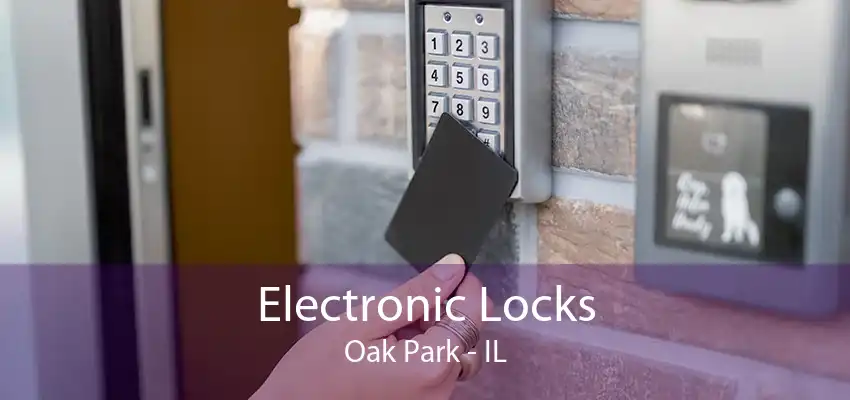 Electronic Locks Oak Park - IL
