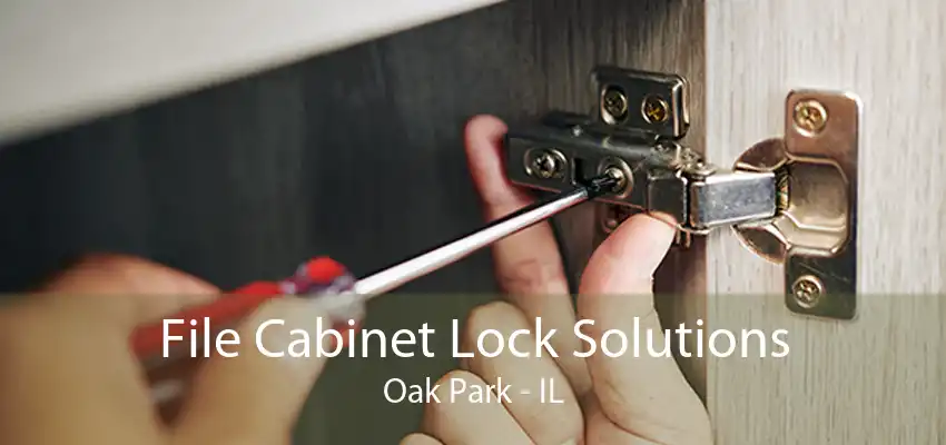 File Cabinet Lock Solutions Oak Park - IL