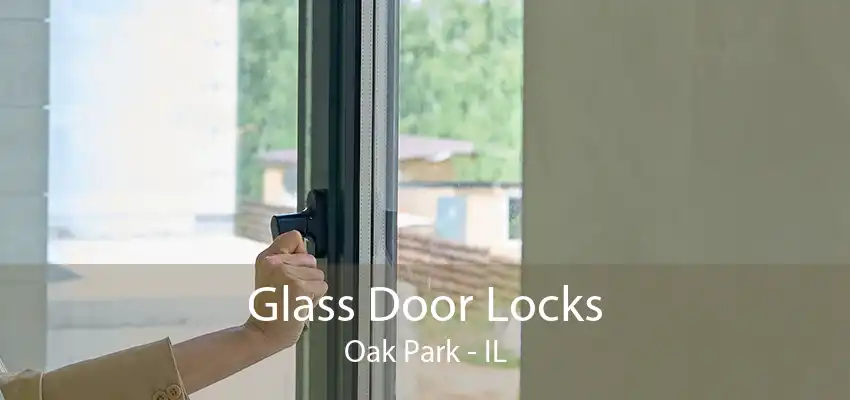 Glass Door Locks Oak Park - IL