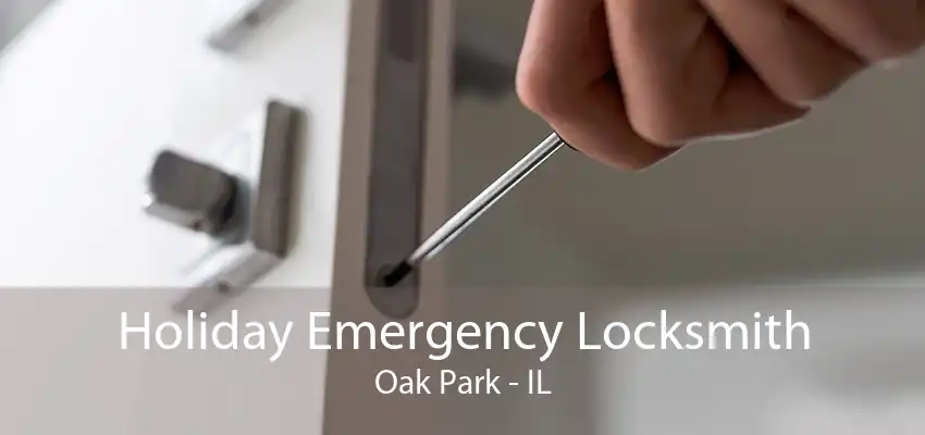 Holiday Emergency Locksmith Oak Park - IL