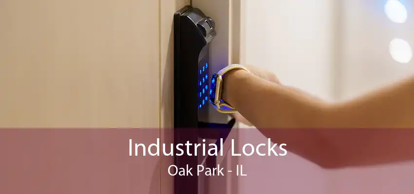 Industrial Locks Oak Park - IL