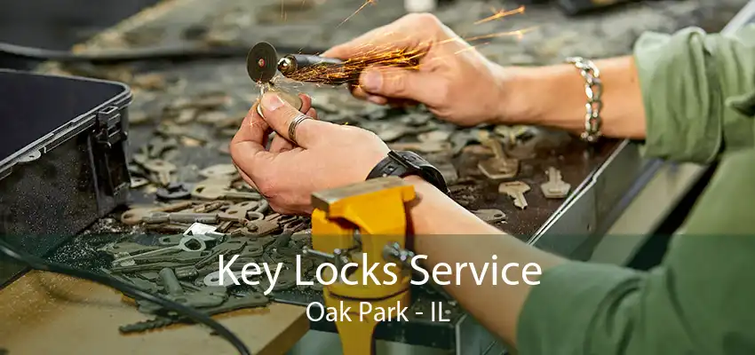 Key Locks Service Oak Park - IL