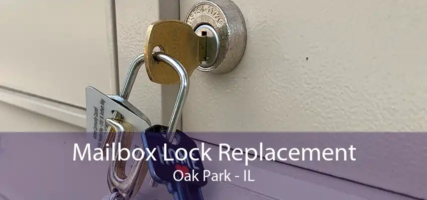 Mailbox Lock Replacement Oak Park - IL