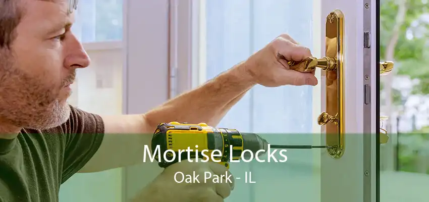 Mortise Locks Oak Park - IL