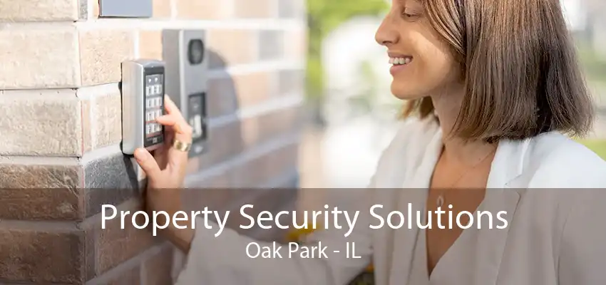 Property Security Solutions Oak Park - IL
