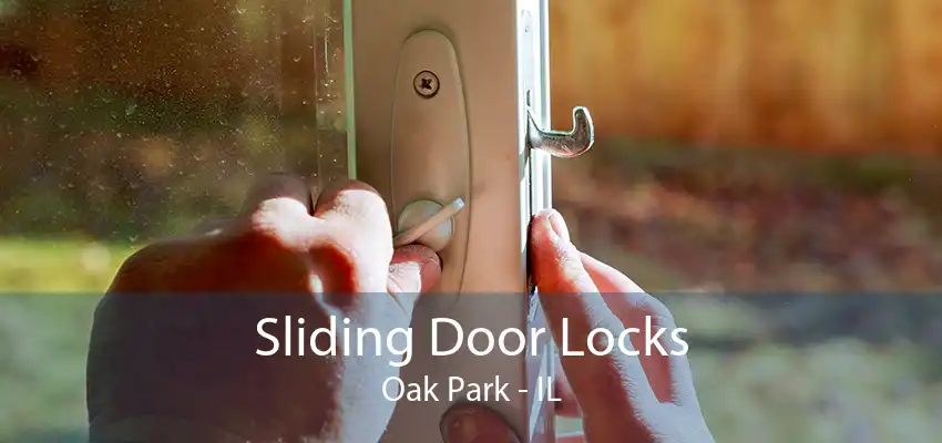 Sliding Door Locks Oak Park - IL