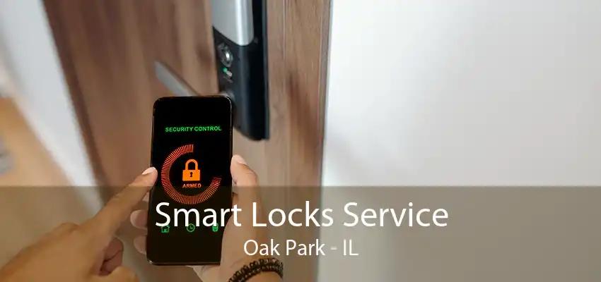 Smart Locks Service Oak Park - IL