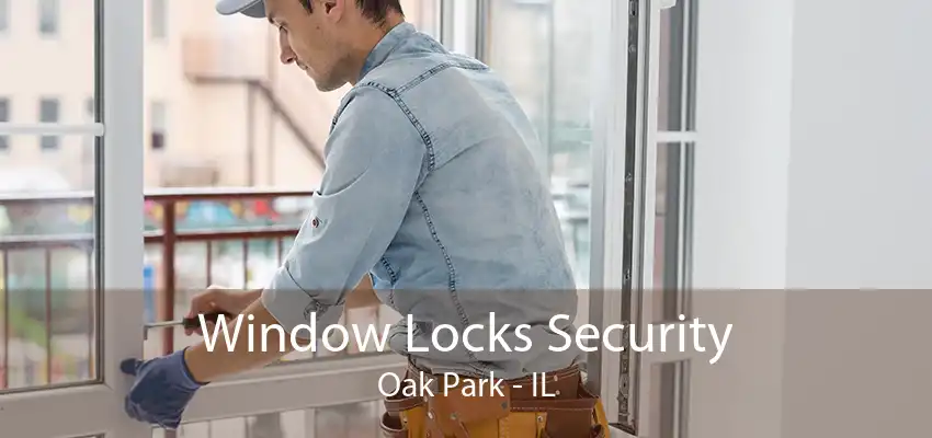 Window Locks Security Oak Park - IL